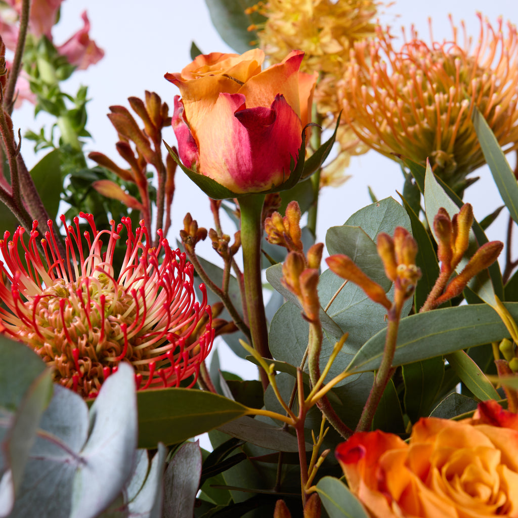 A Clockwork Orange (Eremurus / Orange roses / Kangaroo Paw/ Leucospermum / Snapdragon / Eucalyptus)