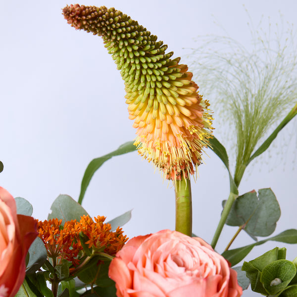 B of the Bang (Kniphofia / Roses / Asclepias / Astilbe / Dahlia / Mollucella / Eucalyptus)