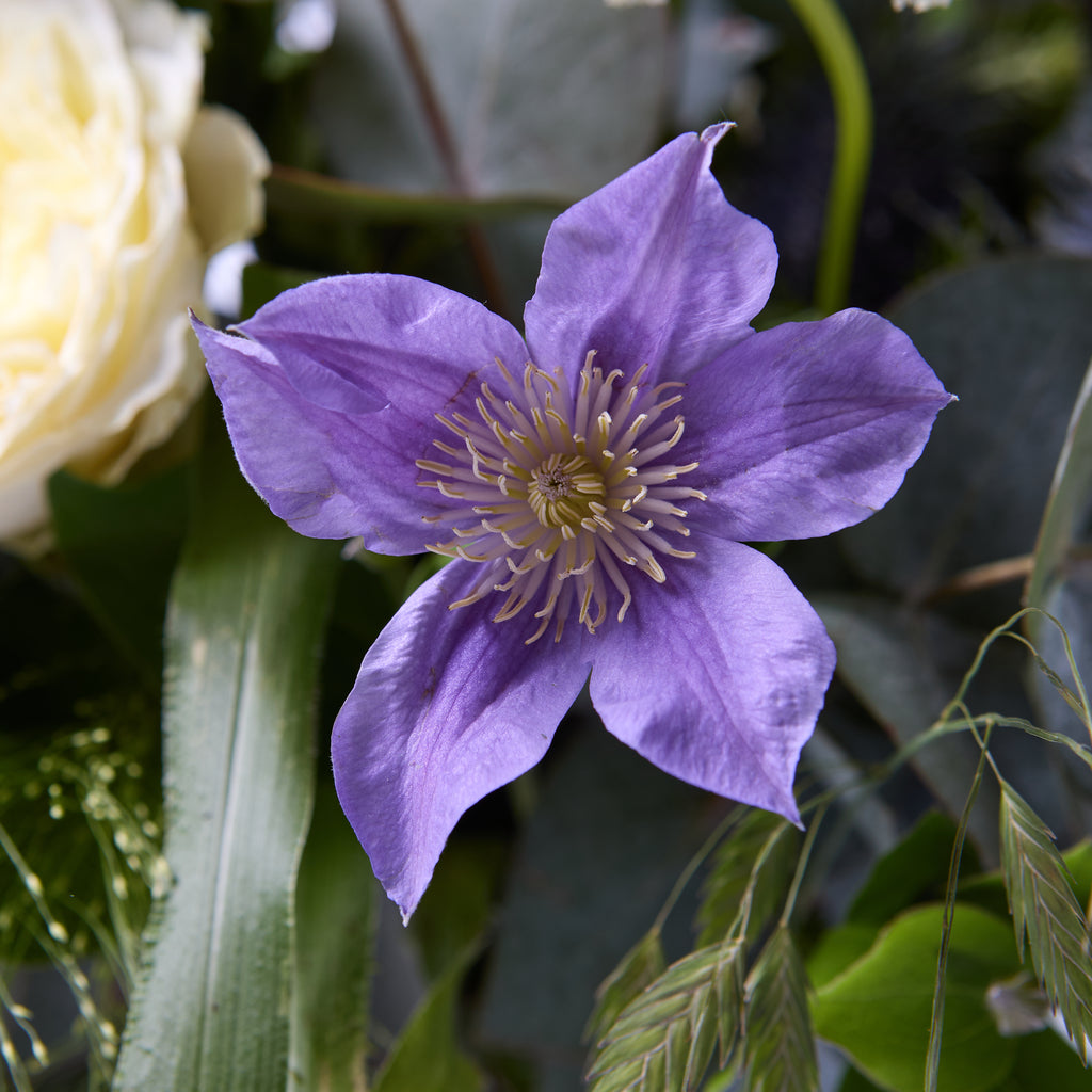 Real Wild Child (Blue delphinium / Roses / Stocks / Dill / Clematis / Eryngium / Eucalyptus)