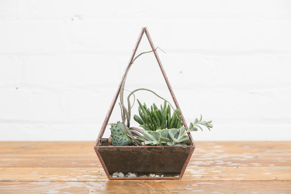 Terrarium
